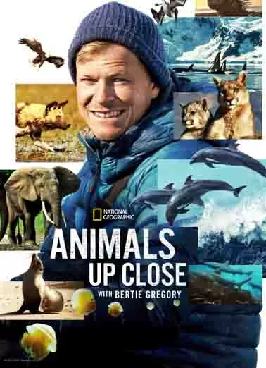 贝尔蒂·格雷戈里：与动物零距离